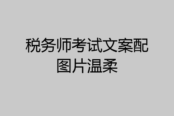 税务师考试文案配图片温柔