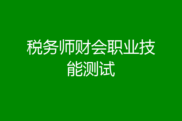 税务师财会职业技能测试
