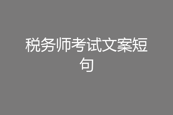 税务师考试文案短句
