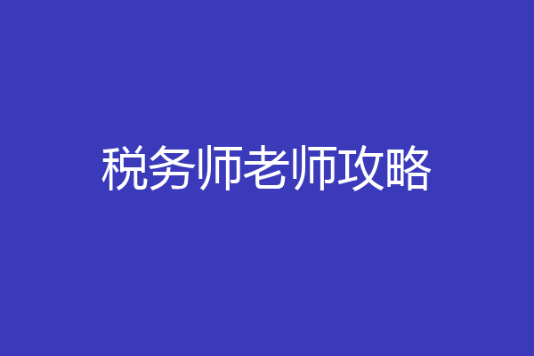 税务师老师攻略