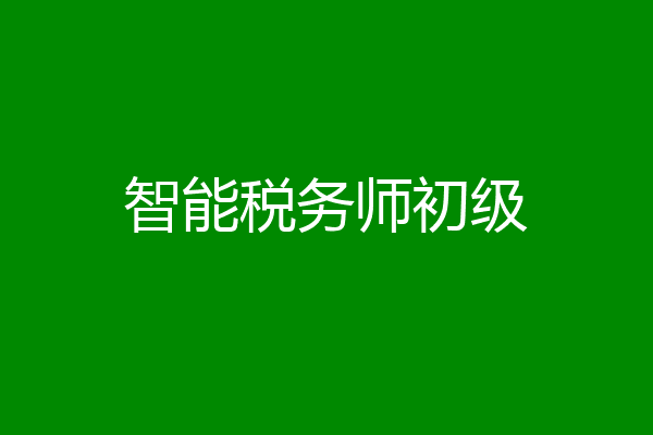 智能税务师初级