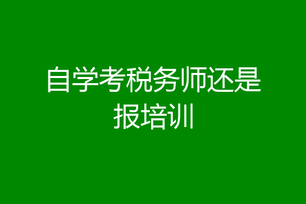 自学考税务师还是报培训