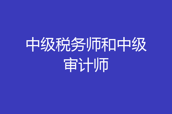 中级税务师和中级审计师