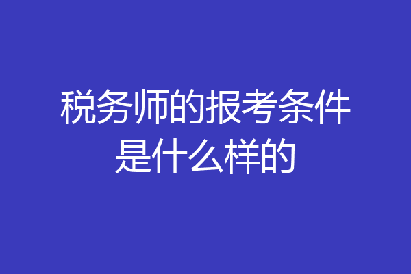 税务师的报考条件是什么样的