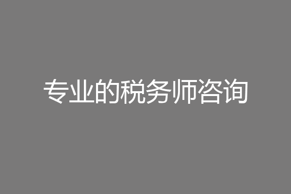 专业的税务师咨询