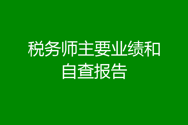 税务师主要业绩和自查报告