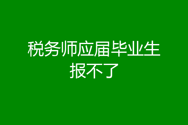 税务师应届毕业生报不了