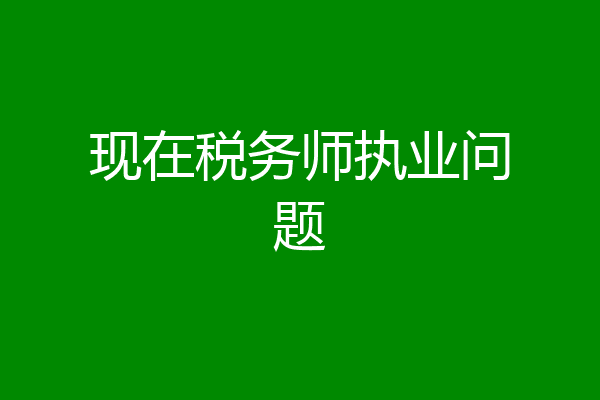 现在税务师执业问题