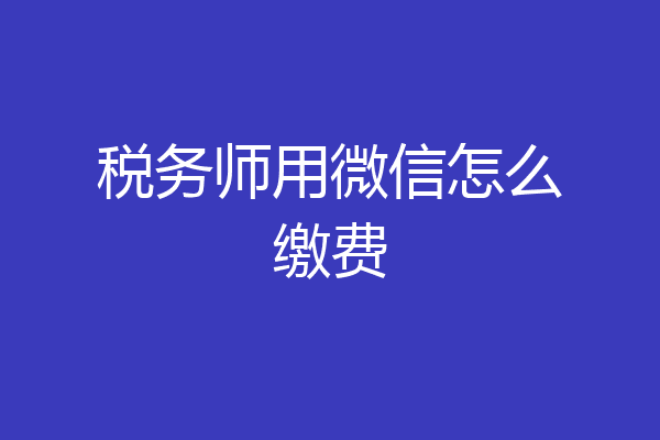税务师用微信怎么缴费