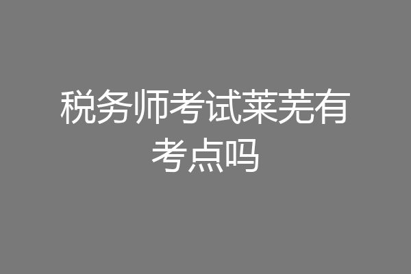 税务师考试莱芜有考点吗