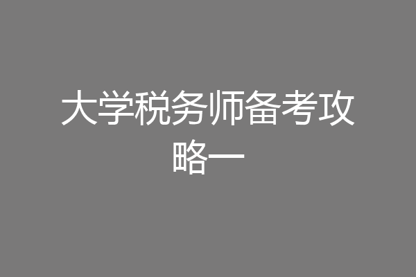大学税务师备考攻略一