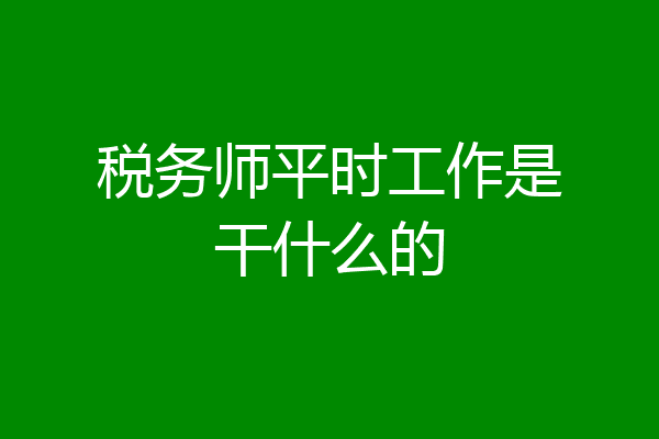 税务师平时工作是干什么的