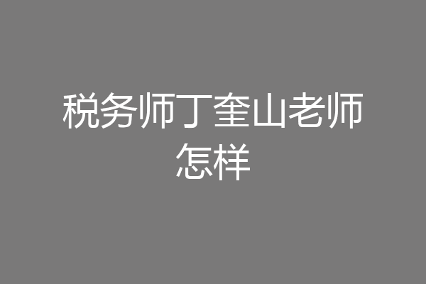 税务师丁奎山老师怎样