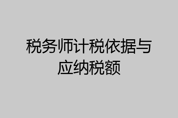 税务师计税依据与应纳税额