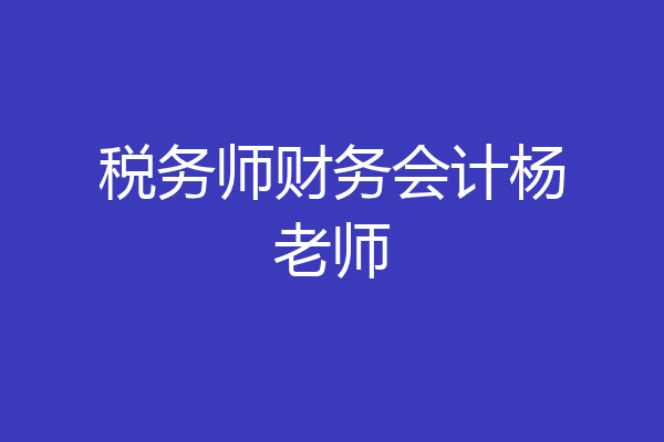 税务师财务会计杨老师
