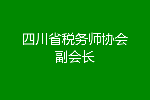 四川省税务师协会副会长