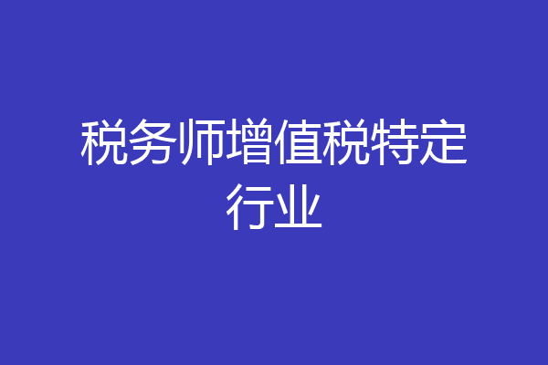 税务师增值税特定行业