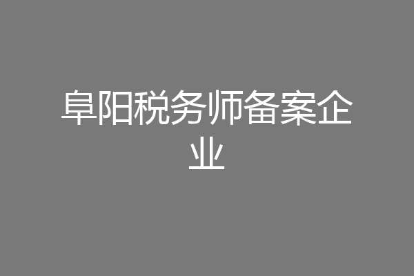 阜阳税务师备案企业