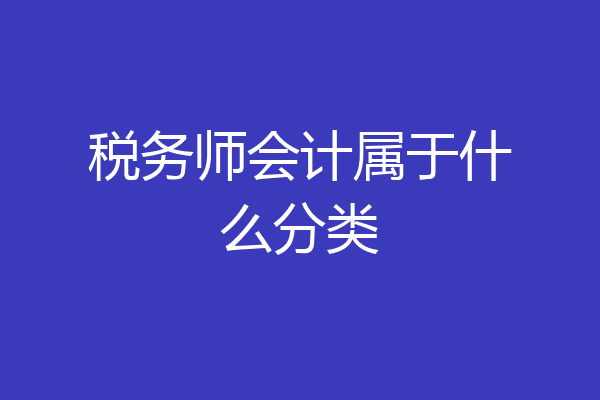 税务师会计属于什么分类