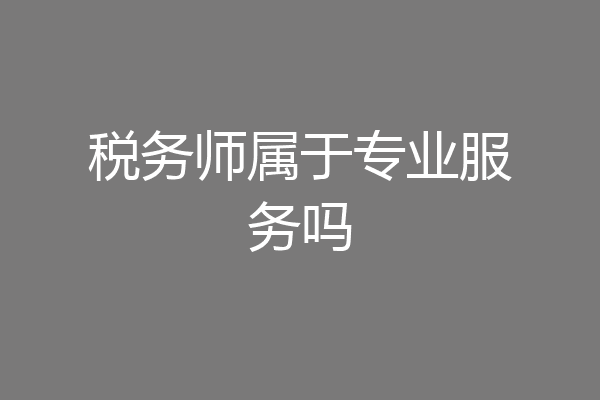 税务师属于专业服务吗