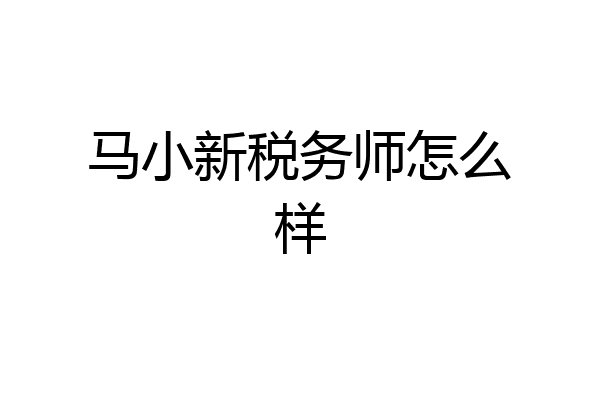 马小新税务师怎么样
