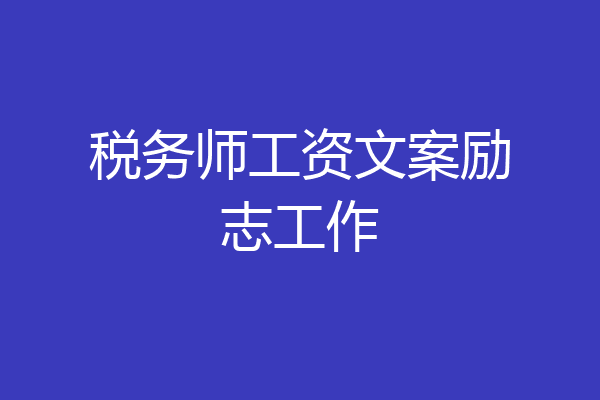 税务师工资文案励志工作