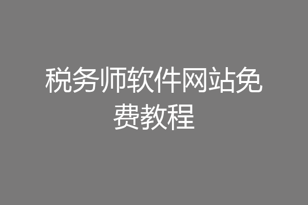 税务师软件网站免费教程