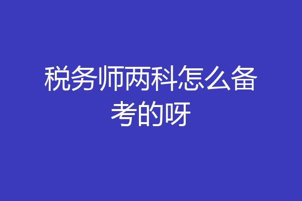 税务师两科怎么备考的呀