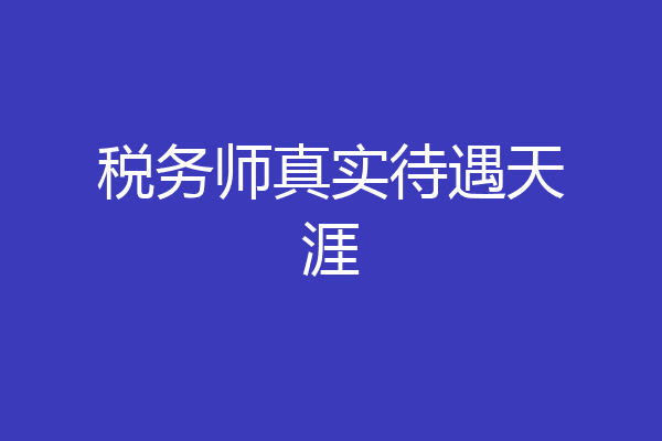 税务师真实待遇天涯
