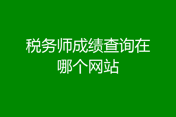 税务师成绩查询在哪个网站