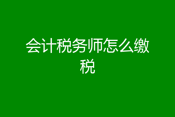 会计税务师怎么缴税