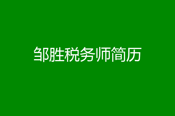 邹胜税务师简历