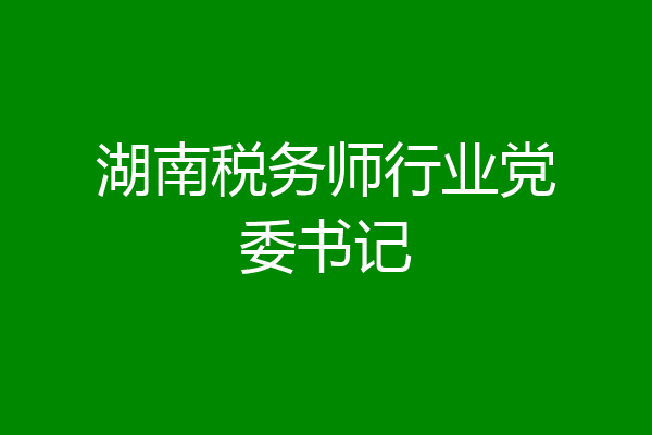 湖南税务师行业党委书记