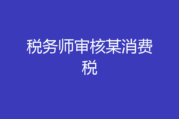 税务师审核某消费税