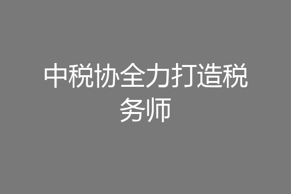中税协全力打造税务师