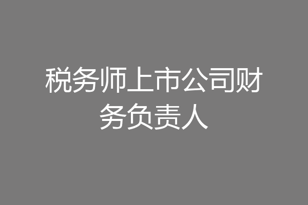 税务师上市公司财务负责人