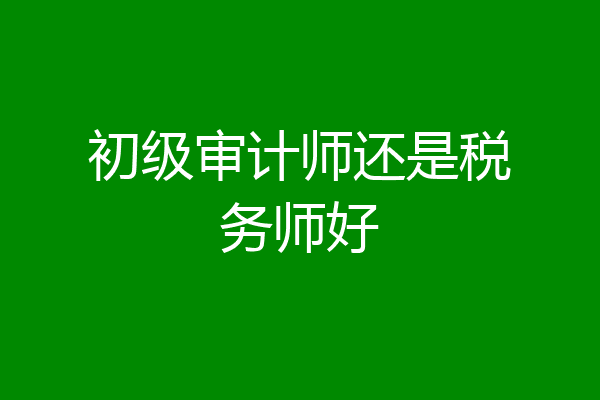 初级审计师还是税务师好