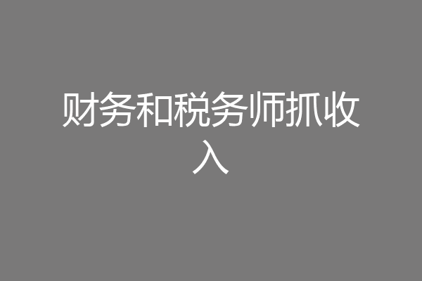 财务和税务师抓收入