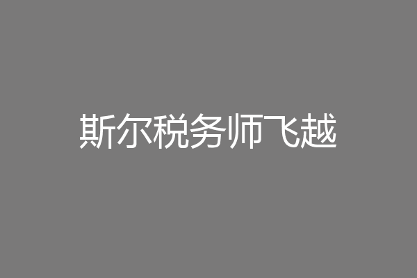 斯尔税务师飞越