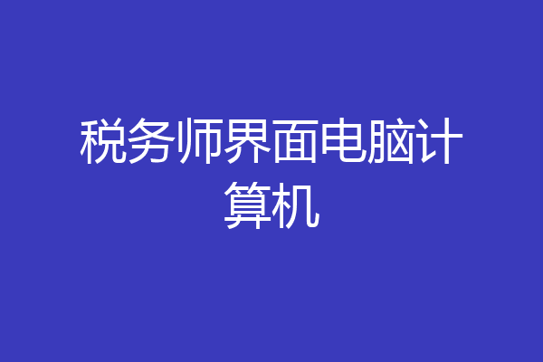 税务师界面电脑计算机