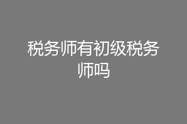 税务师有初级税务师吗