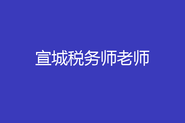 宣城税务师老师