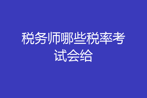 税务师哪些税率考试会给