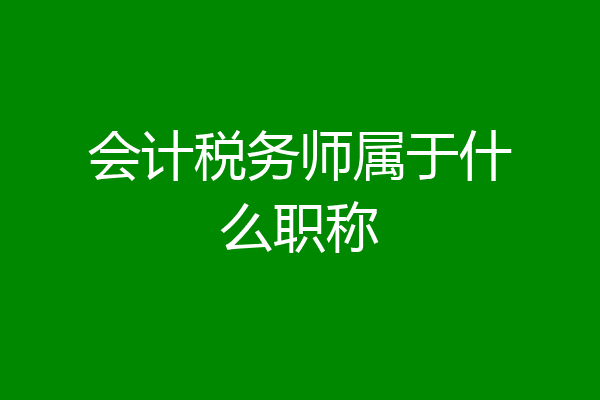 会计税务师属于什么职称