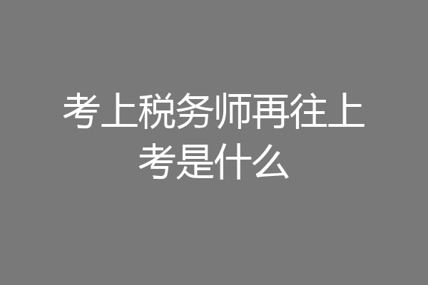 考上税务师再往上考是什么