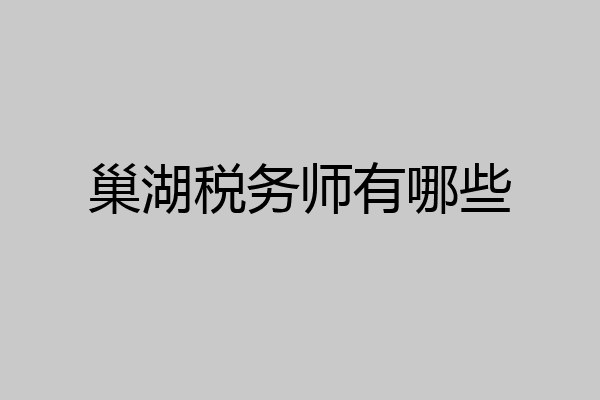 巢湖税务师有哪些