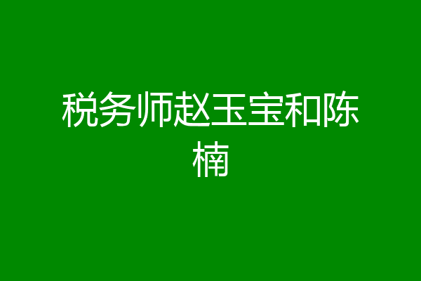 税务师赵玉宝和陈楠