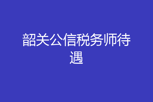 韶关公信税务师待遇