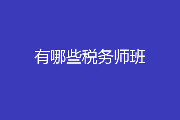 有哪些税务师班