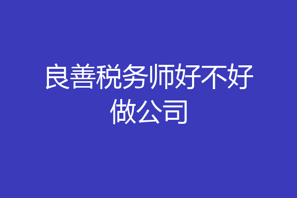 良善税务师好不好做公司